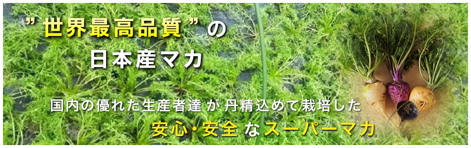 日本初の国産マカ
